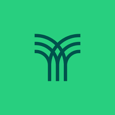 Estudié SEO, SEM y analítica web en Tecmilenio.